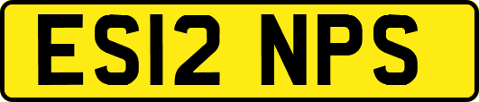 ES12NPS