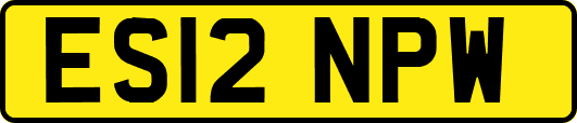 ES12NPW