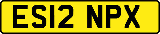 ES12NPX