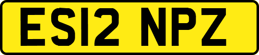 ES12NPZ