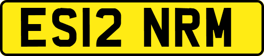 ES12NRM