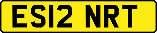 ES12NRT