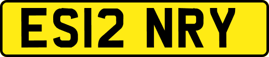 ES12NRY