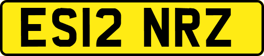ES12NRZ