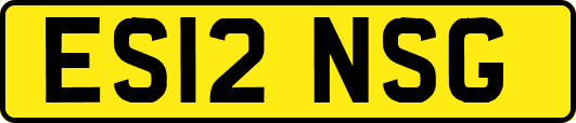 ES12NSG