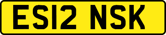ES12NSK