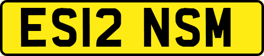 ES12NSM