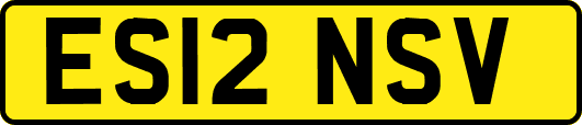 ES12NSV