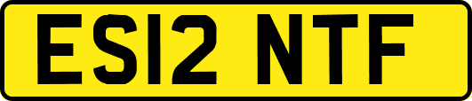 ES12NTF