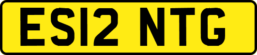 ES12NTG