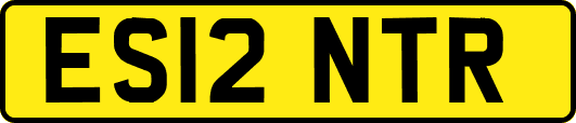ES12NTR