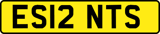 ES12NTS