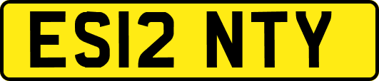 ES12NTY