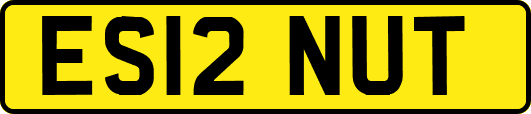 ES12NUT
