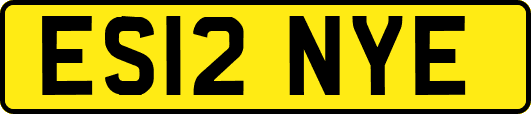 ES12NYE