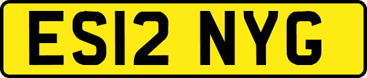 ES12NYG