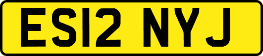 ES12NYJ