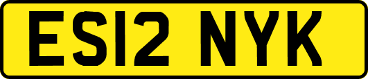 ES12NYK