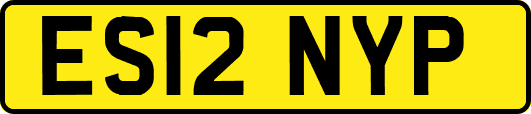 ES12NYP