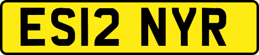 ES12NYR