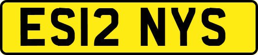 ES12NYS