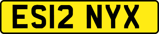 ES12NYX