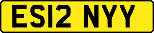 ES12NYY