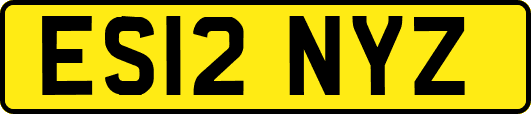 ES12NYZ