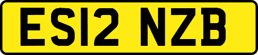ES12NZB