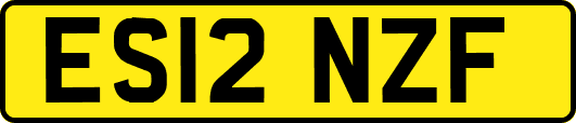 ES12NZF