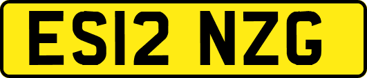 ES12NZG