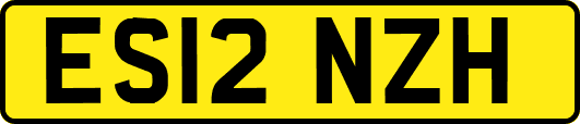 ES12NZH