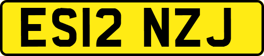 ES12NZJ
