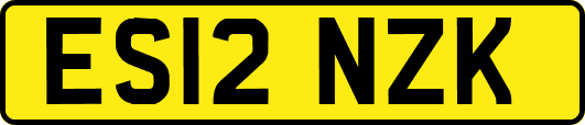 ES12NZK