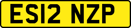 ES12NZP