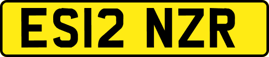 ES12NZR