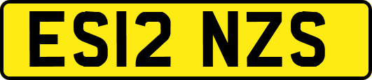 ES12NZS