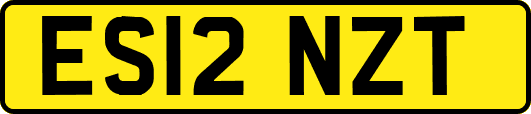 ES12NZT