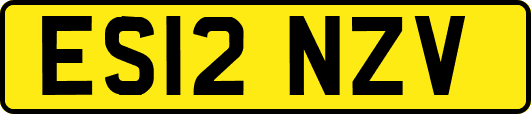 ES12NZV