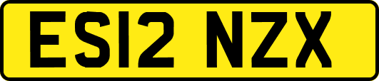 ES12NZX