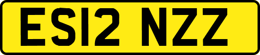 ES12NZZ
