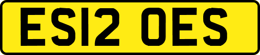 ES12OES