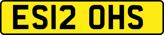 ES12OHS