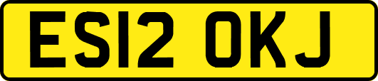 ES12OKJ