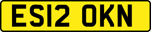 ES12OKN