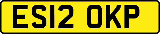 ES12OKP