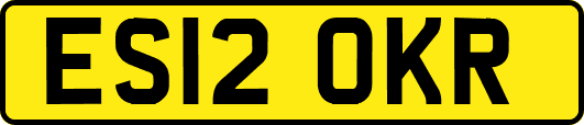 ES12OKR