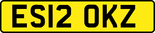ES12OKZ