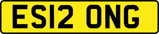ES12ONG