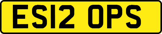 ES12OPS